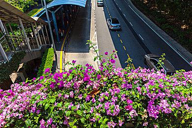 《丰登之日》：在乡下实现你的梦想！与拖拉机和耙子共同开启幸福新生活!